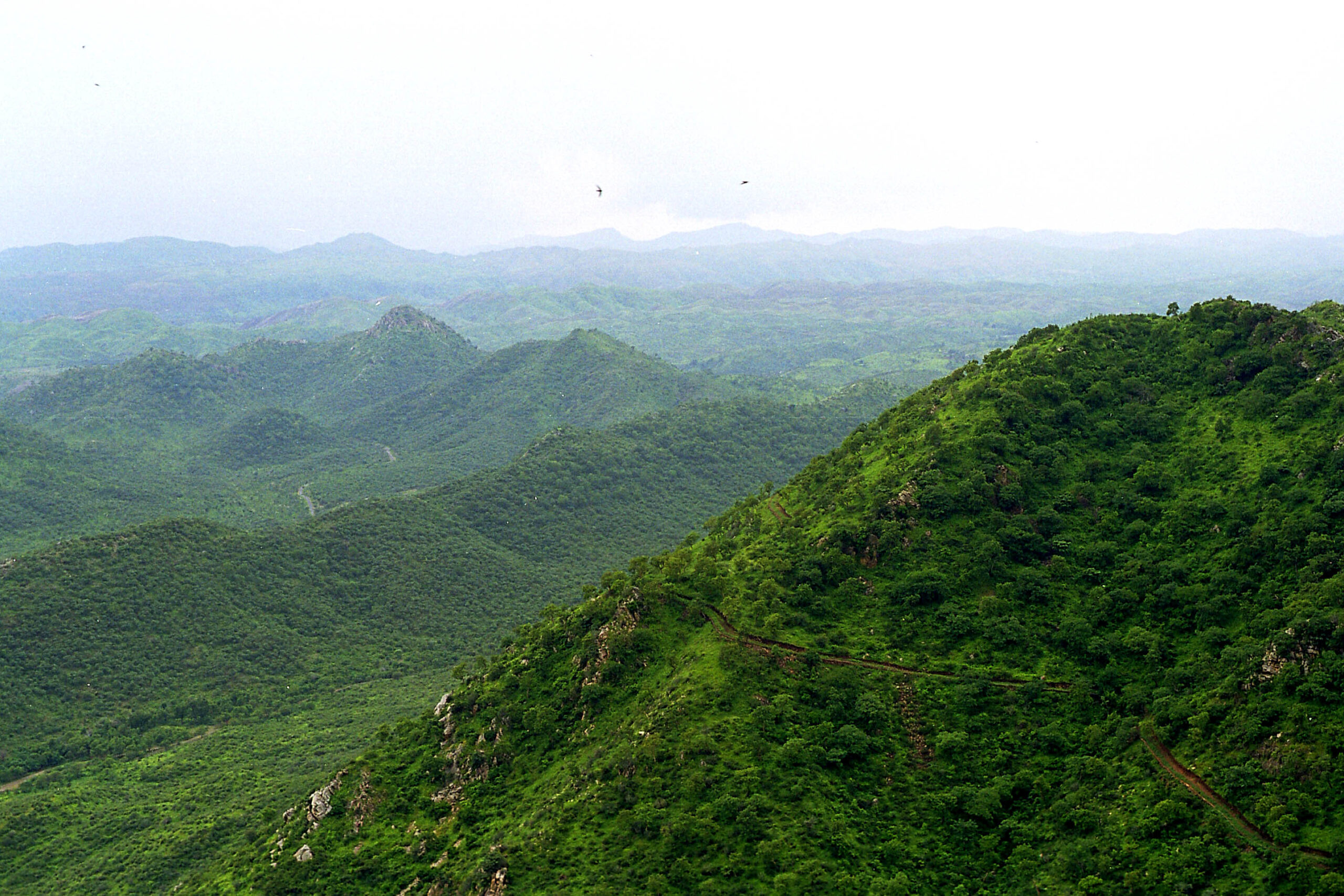 Aravalli hills , mystudie